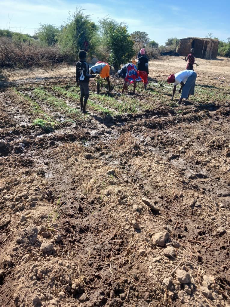 Activités de productions maraîchères 2025-2026