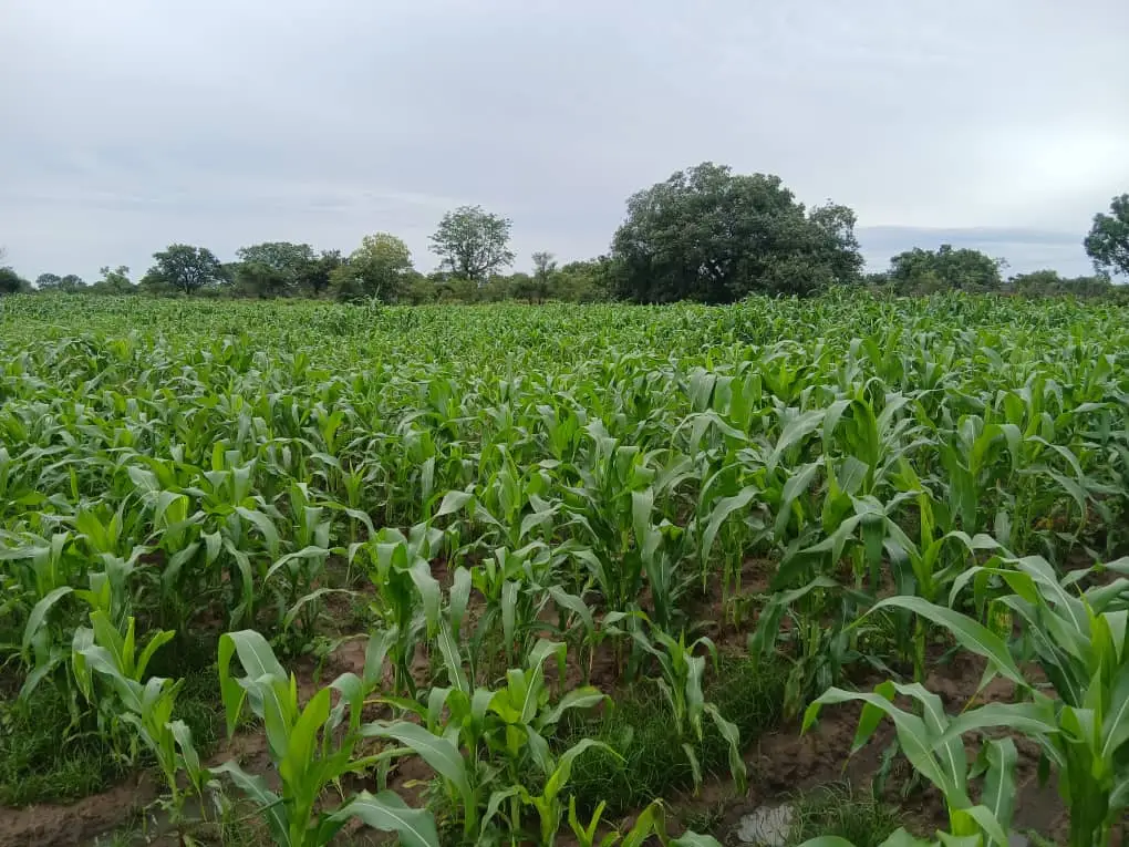 Campagne Hivernage 2025