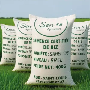 Semence Certifiée de Riz
