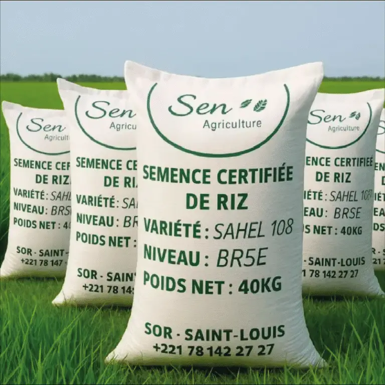 Semence Certifiée de Riz