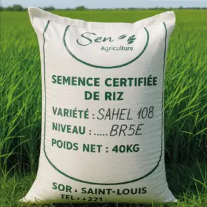 Semence Certifiée de Riz