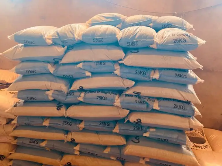 Stockage et conditionnement de qualité