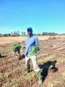 Activités de productions maraîchères 2025-2026