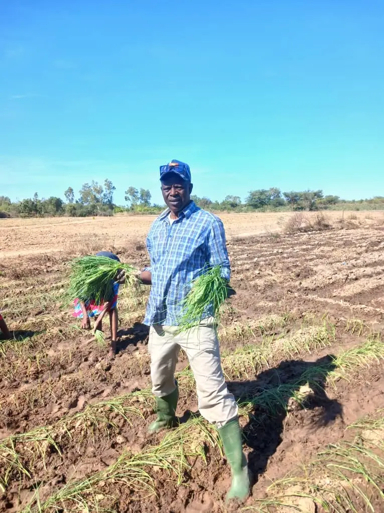 Activités de productions maraîchères 2025-2026